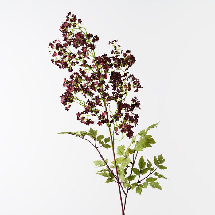 Cohosh Flowering Spray Burgundy 125cm Pack of 6