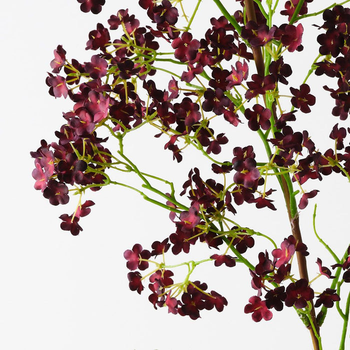 Cohosh Flowering Spray Burgundy 125cm Pack of 6