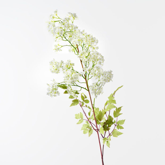 Cohosh Flowering Spray White 125cm Pack of 6