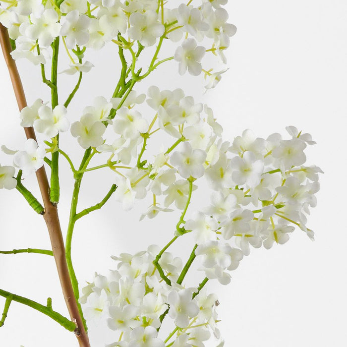 Cohosh Flowering Spray White 125cm Pack of 6