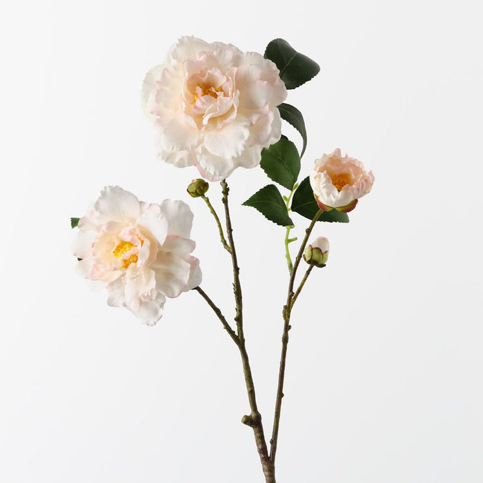 Camellia Spray Cream Pink 66cm Pack of 12