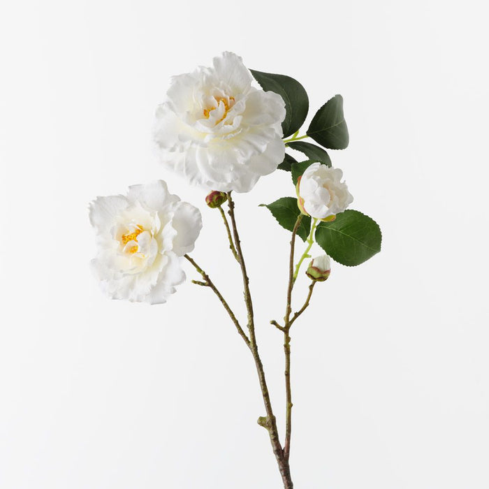 Camellia Spray Cream 66cm Pack of 12