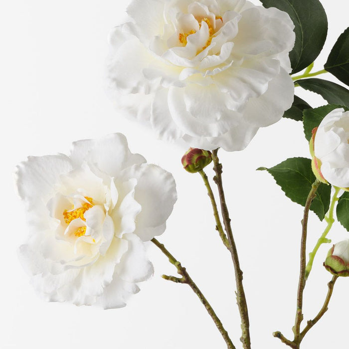 Camellia Spray Cream 66cm Pack of 12