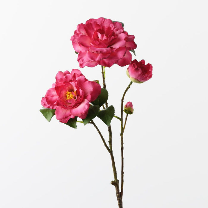 Camellia Spray Fuschia 66cm Pack of 12