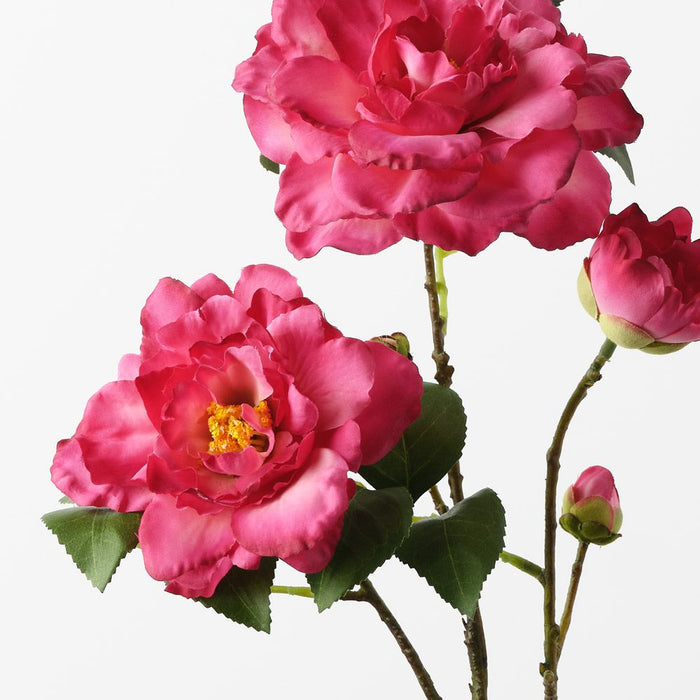 Camellia Spray Fuschia 66cm Pack of 12