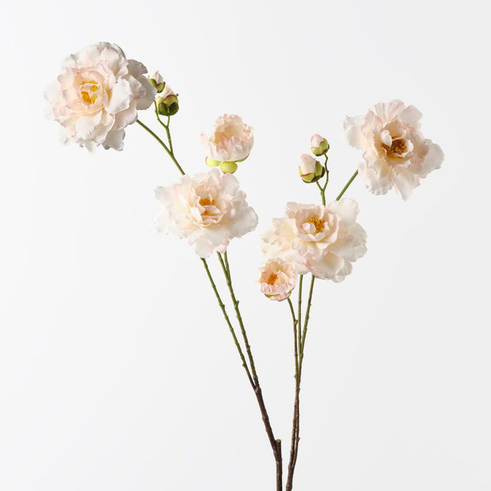 Camellia Branch Cream Pink 110cm Pack of 12