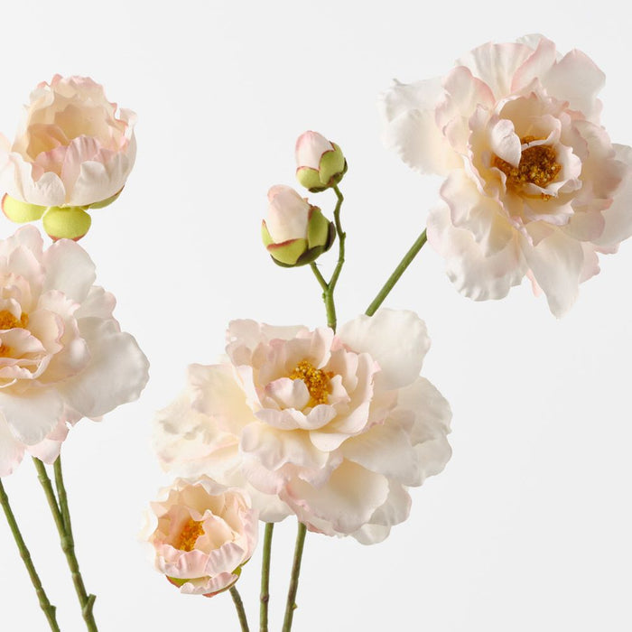 Camellia Branch Cream Pink 110cm Pack of 12