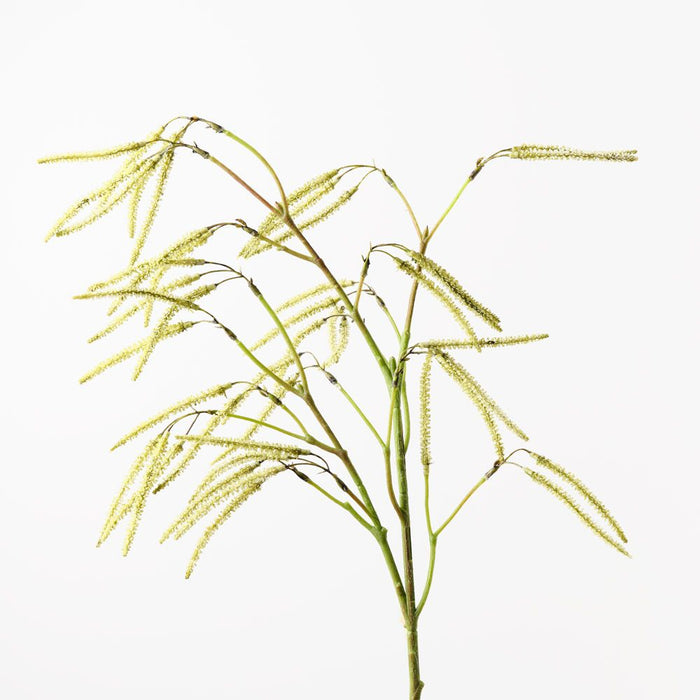 Amaranthus Spray Green 84cm Pack of 12