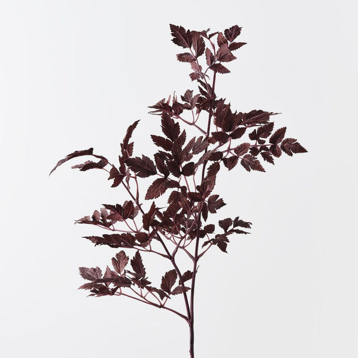 Cohosh Leaf Spray Dark Purple 120cm Pack of 12