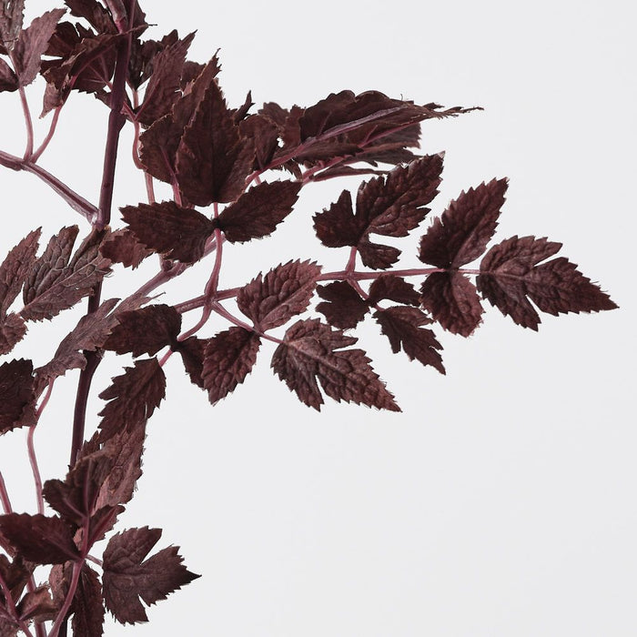 Cohosh Leaf Spray Dark Purple 120cm Pack of 12