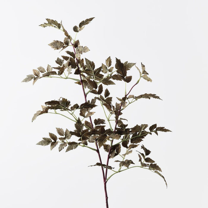 Cohosh Leaf Spray Olive Green 120cm Pack of 12