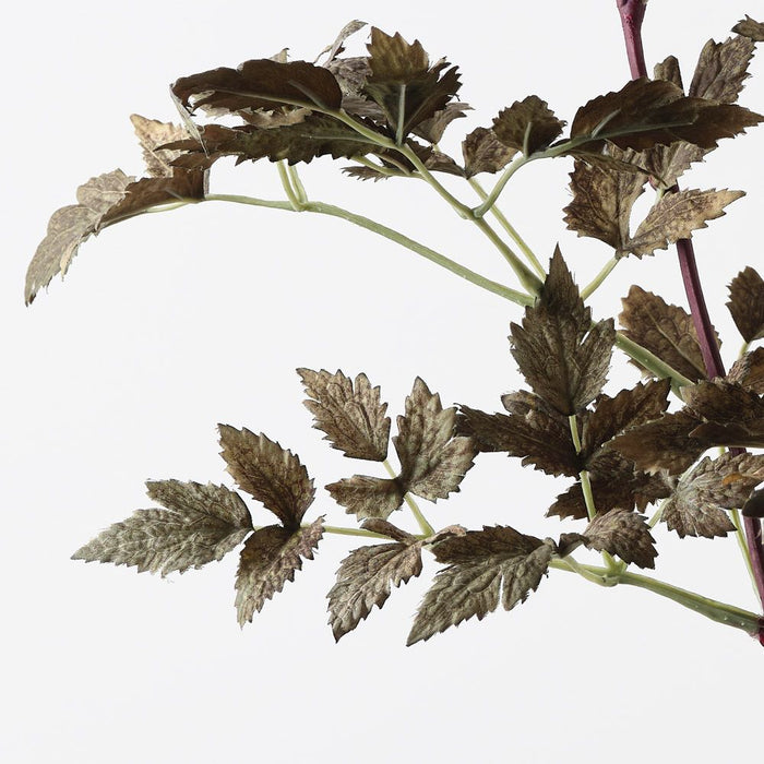 Cohosh Leaf Spray Olive Green 120cm Pack of 12