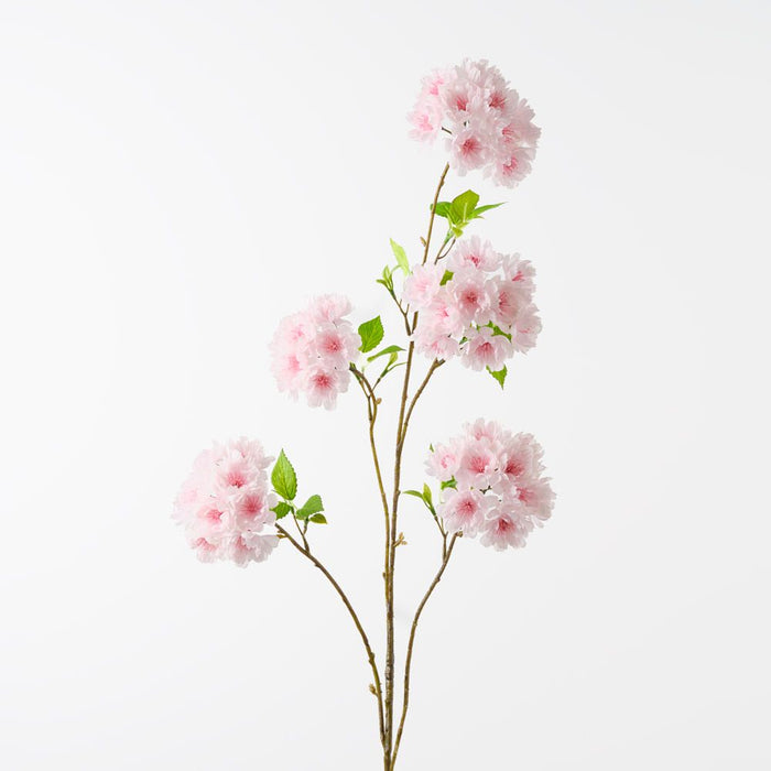 Blossom Apple Light Pink 115cm Pack of 12