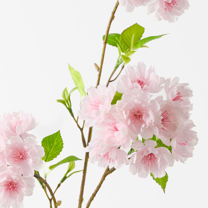 Blossom Apple Light Pink 115cm Pack of 12