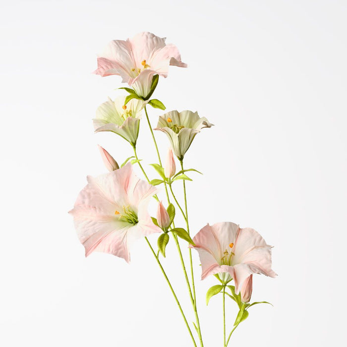 Mandevilla Spray Salmon 100cm Pack of 12