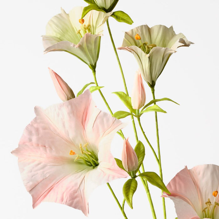 Mandevilla Spray Salmon 100cm Pack of 12