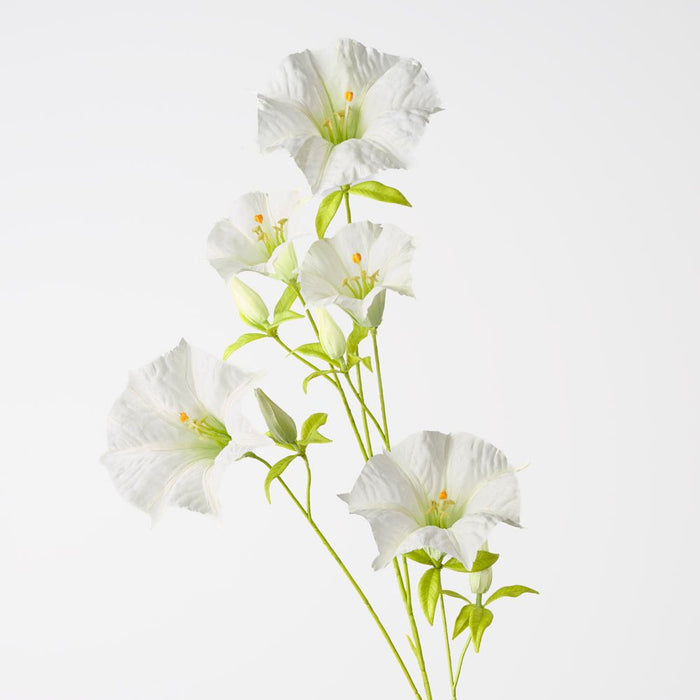 Mandevilla Spray White Green 100cm Pack of 12