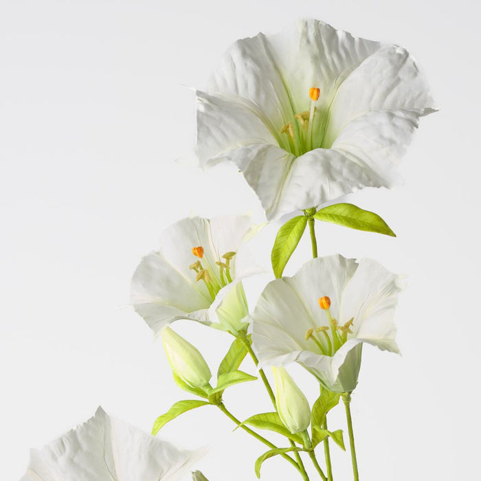 Mandevilla Spray White Green 100cm Pack of 12