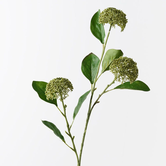 Allium Spray Green 76cm Pack of 12