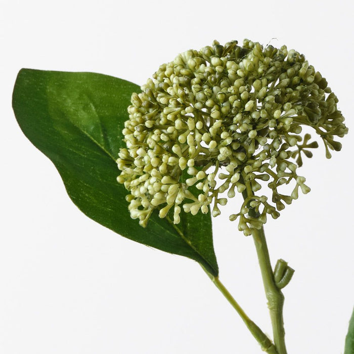 Allium Spray Green 76cm Pack of 12