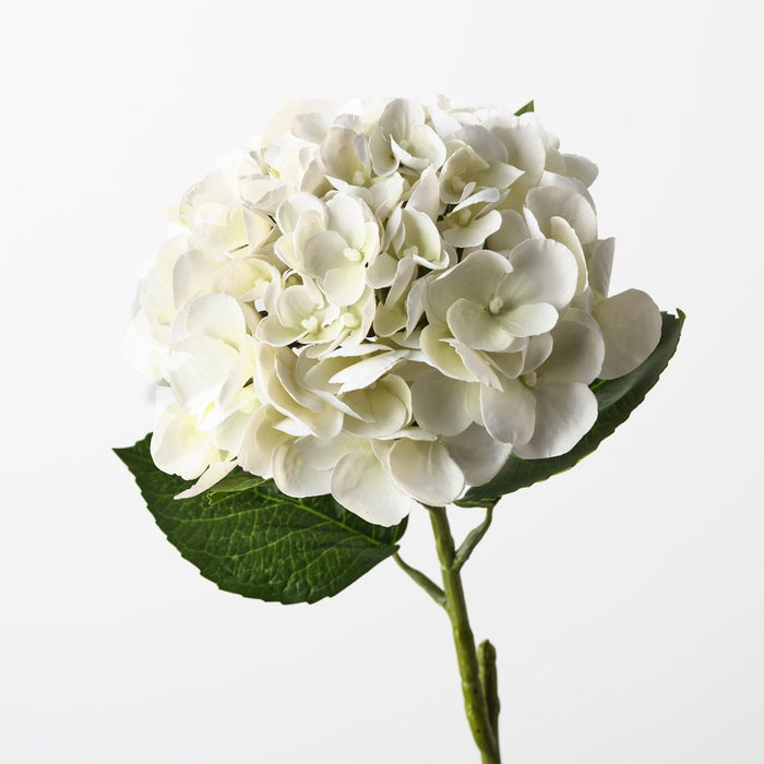 Hydrangea Cream 60cm Pack of 12