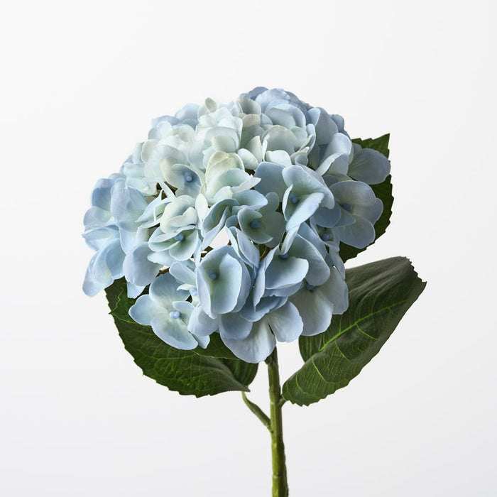 Hydrangea Light Blue 60cm Pack of 12