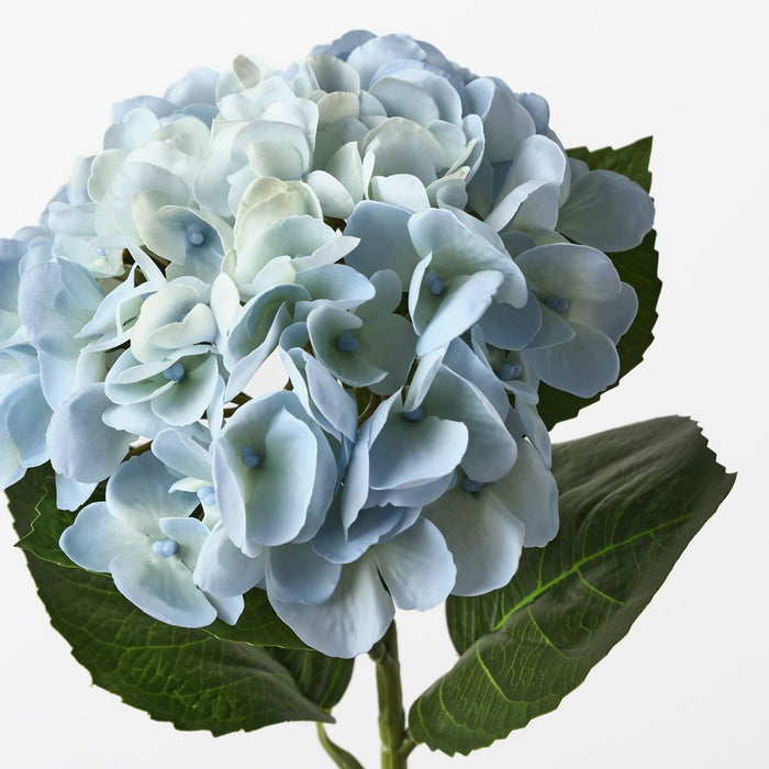Hydrangea Light Blue 60cm Pack of 12