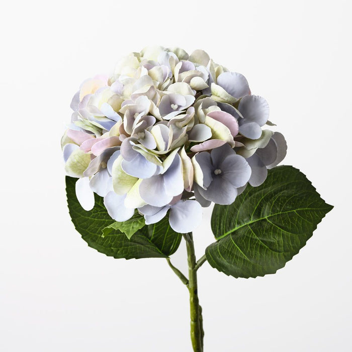 Hydrangea Lavender 60cm Pack of 12