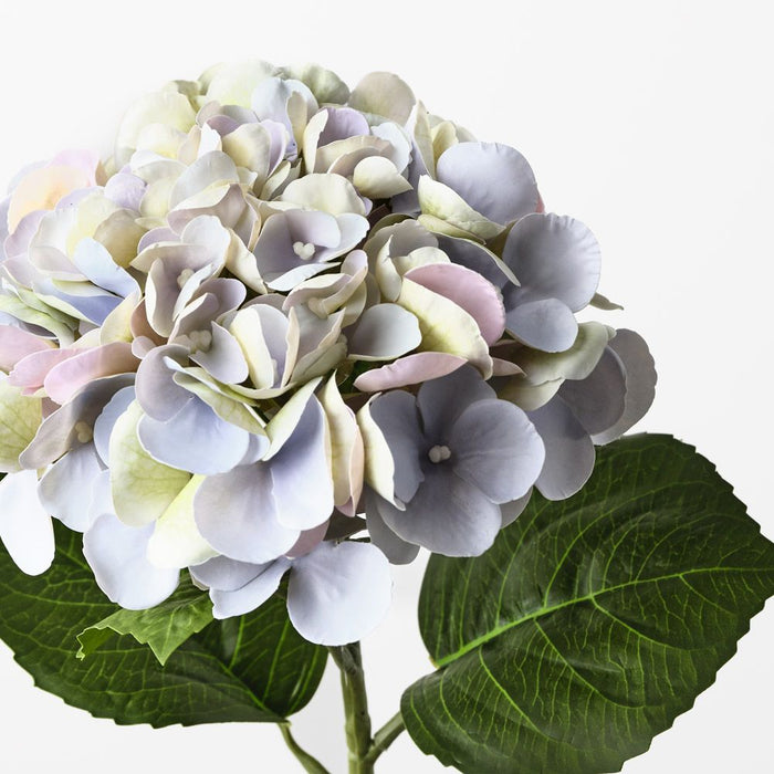 Hydrangea Lavender 60cm Pack of 12