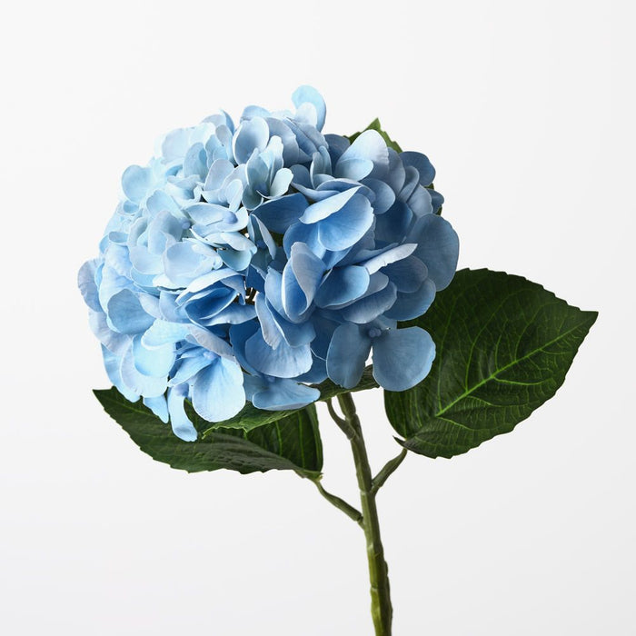 Hydrangea Blue 60cm Pack of 12