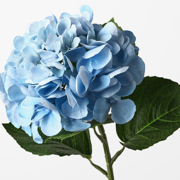 Hydrangea Blue 60cm Pack of 12