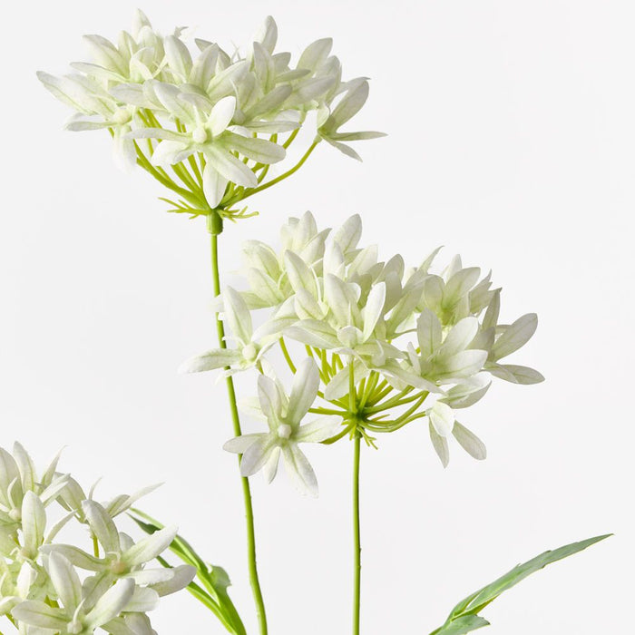 Agapanthus Spray Light Green 71cm Pack of 12