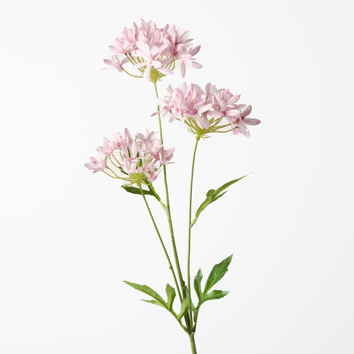 Agapanthus Spray Light Pink 71cm Pack of 12