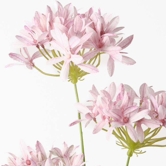 Agapanthus Spray Light Pink 71cm Pack of 12