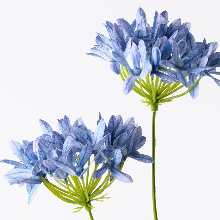 Agapanthus Spray Royal Blue 71cm Pack of 12