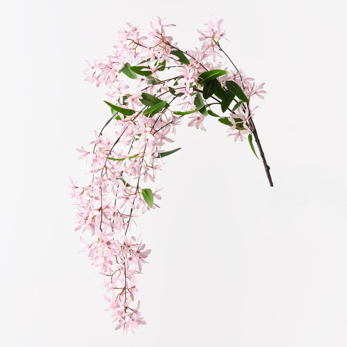 Jasmine Hanging Bush Pink Mauve 84cm Pack of 6