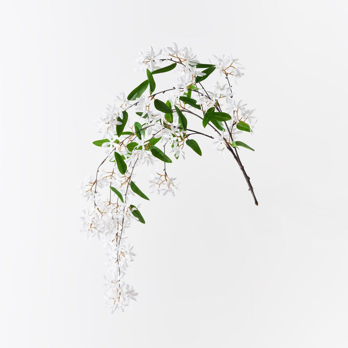 Jasmine Hanging Bush White 84cm Pack of 6