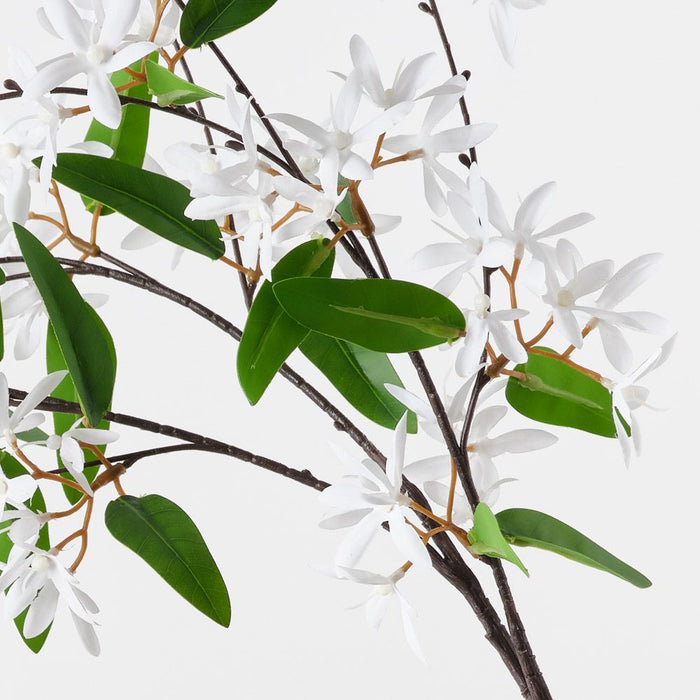 Jasmine Hanging Bush White 84cm Pack of 6