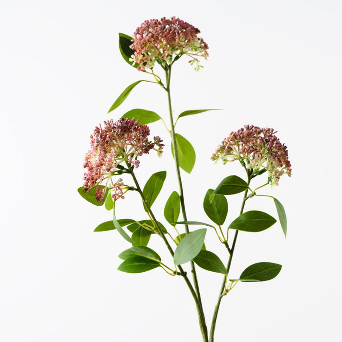 Angelica Spray Red 80cm Pack of 12