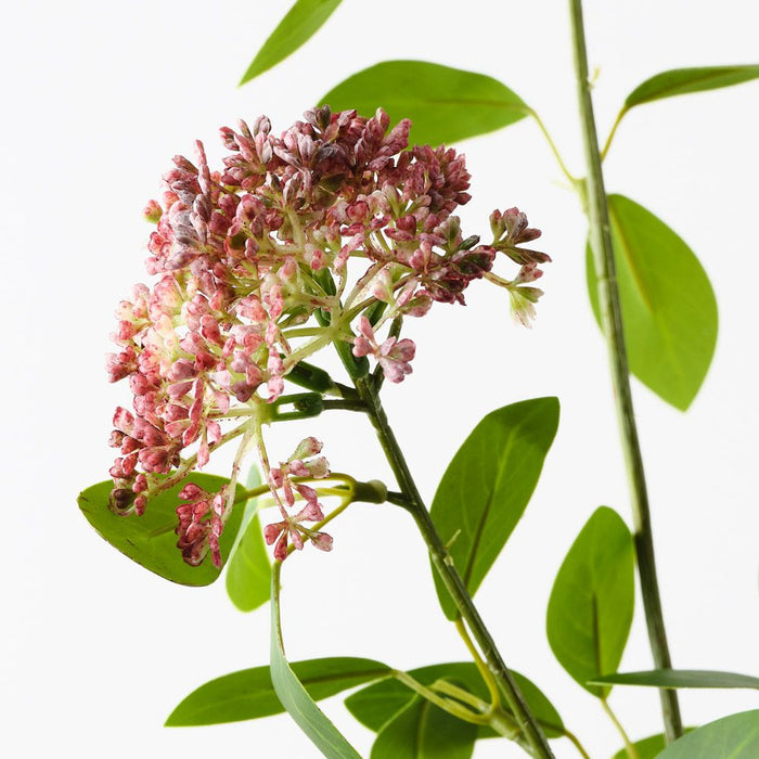 Angelica Spray Red 80cm Pack of 12