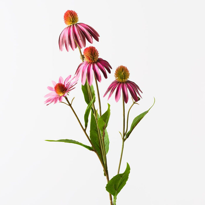 Echinacea Spray Fuschia 76cm Pack of 12
