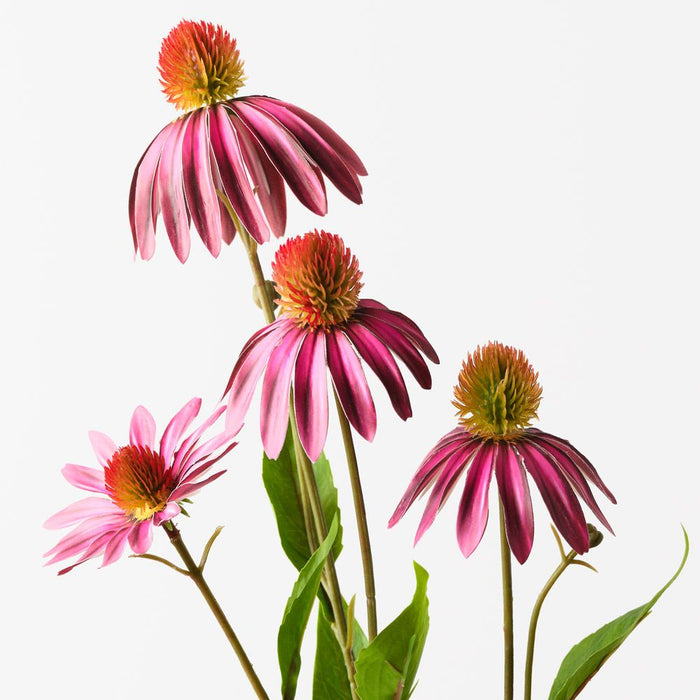 Echinacea Spray Fuschia 76cm Pack of 12