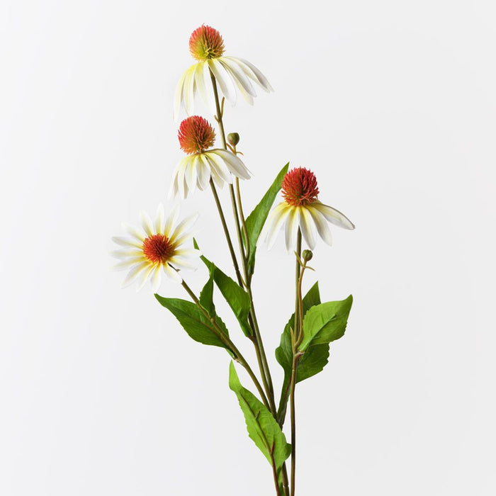 Echinacea Spray White 76cm Pack of 12