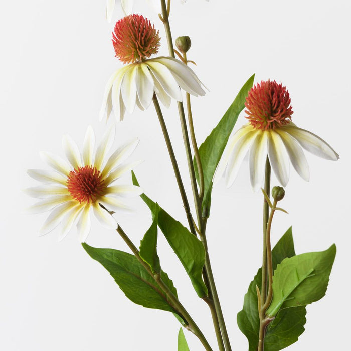Echinacea Spray White 76cm Pack of 12