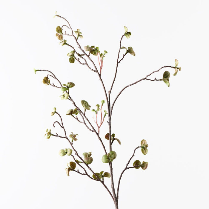 Pea Leaf Spray Green Brown 104cm Pack of 12