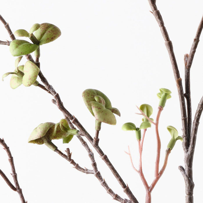 Pea Leaf Spray Green Brown 104cm Pack of 12