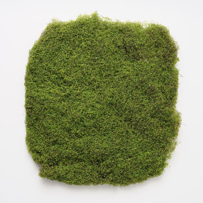 Moss Sheet Green 55cm Pack of 6