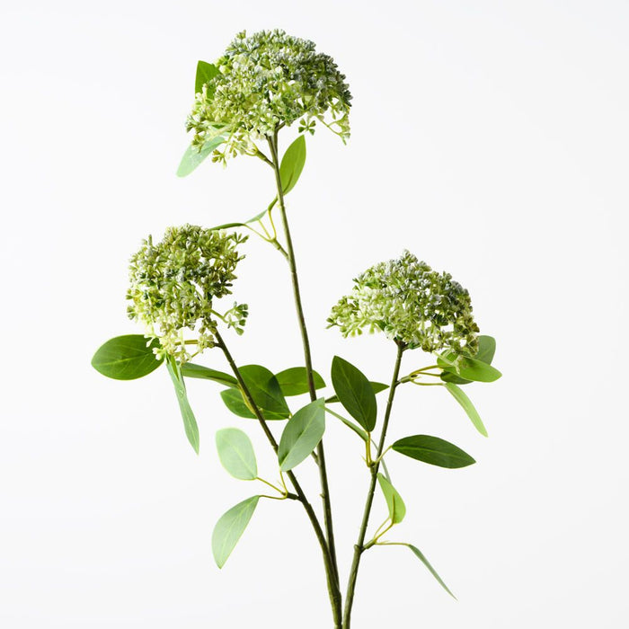 Angelica Spray Green 80cm Pack of 12