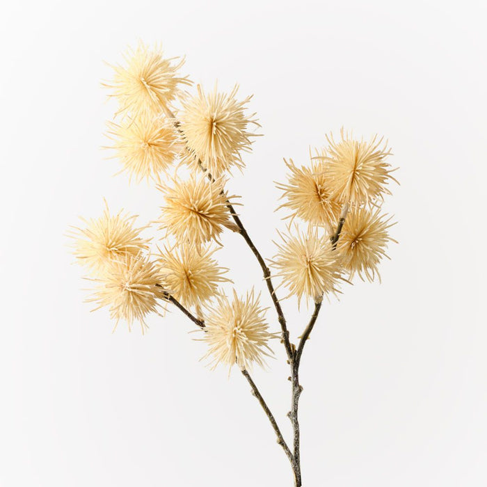 Thistle Globe Spray Cream 68cm Pack of 12