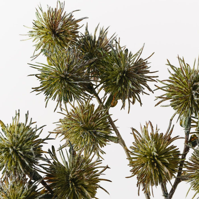 Thistle Globe Spray Olive 68cm Pack of 12